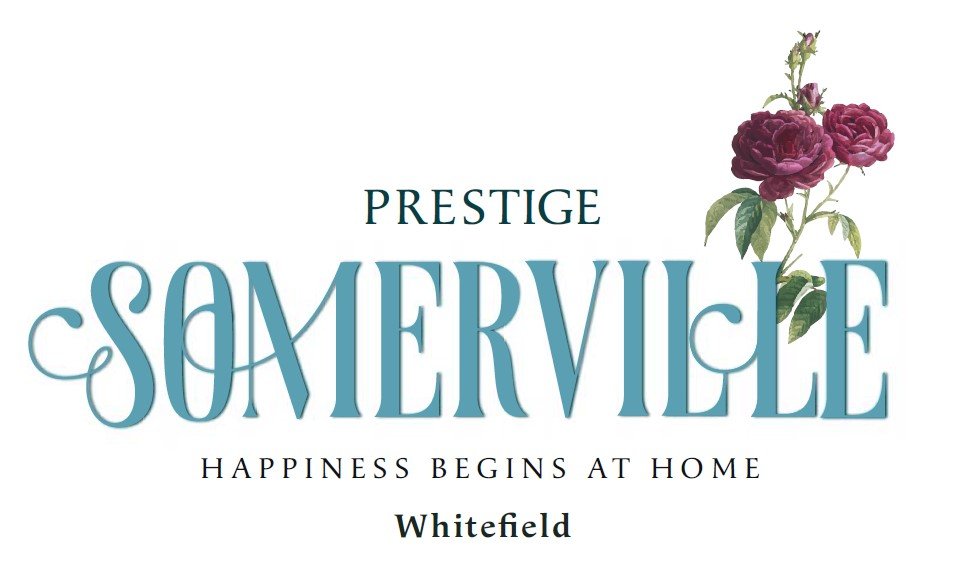 16rnrcc_1709377849_477132570