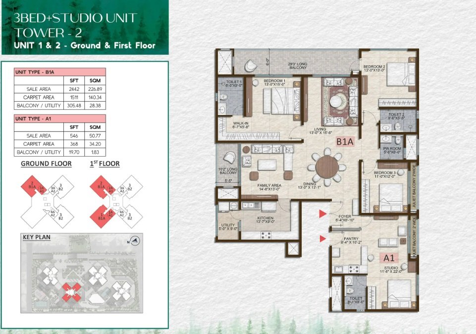 mgtcatt_1739354642_568929401