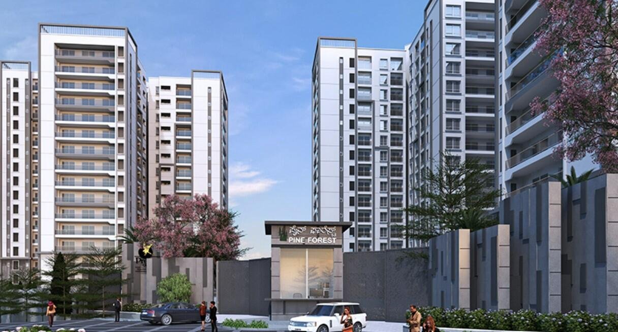 pgmp7f2_1727323620_520725737_optOrig