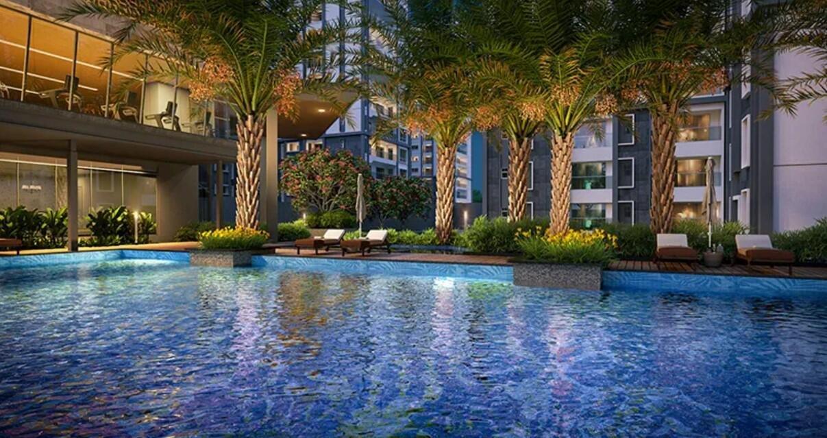 puj5rrs_1737522116_563304015_optOrig