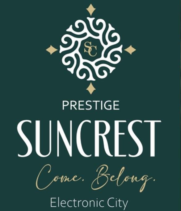 zh2ymf8_1739954718_570846095_O