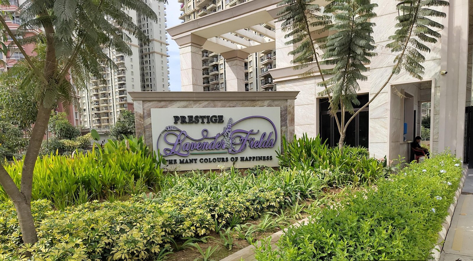 o0omlfi_1740379111_572143773_optOrig